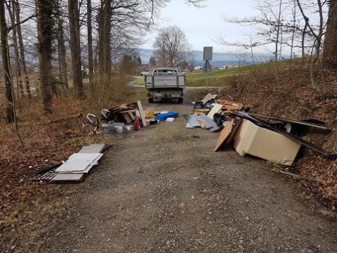 illegale Entsorgung im Wald bei den 3 Linden